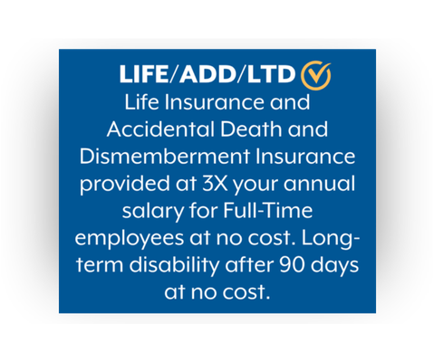 Life/ADD/LDT Insurance